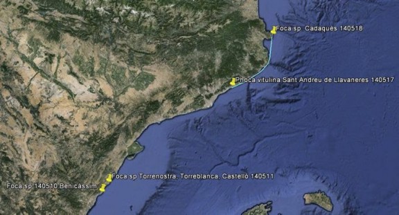 Mapa dels albiraments de foca. Foto: DAR